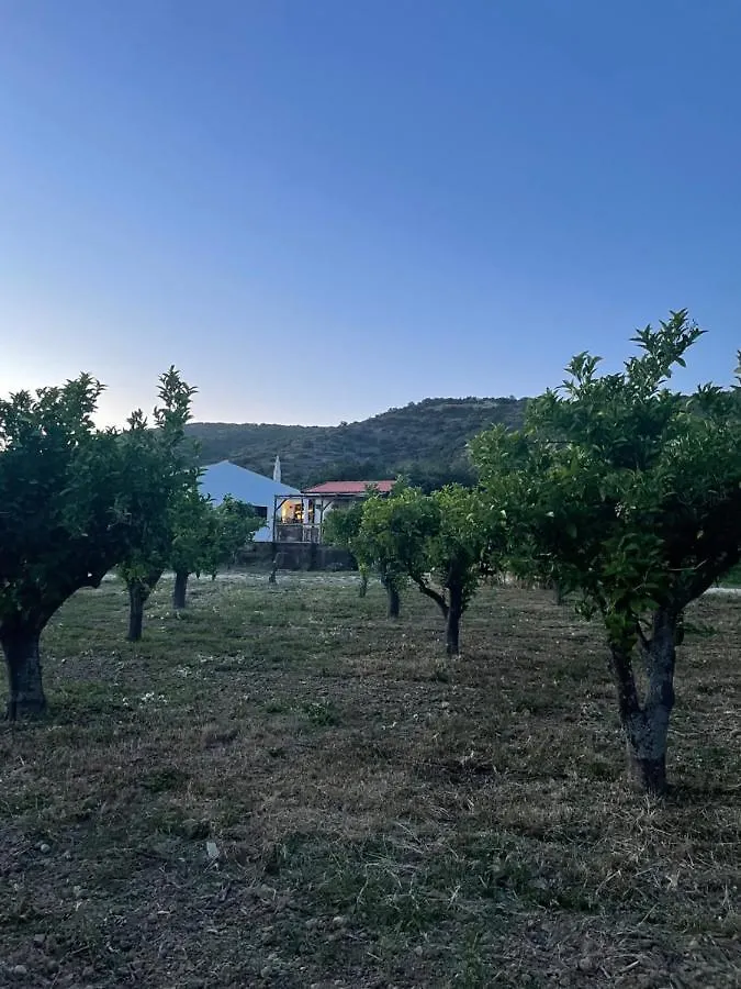 Quinta Da Boa Sorte Estoi